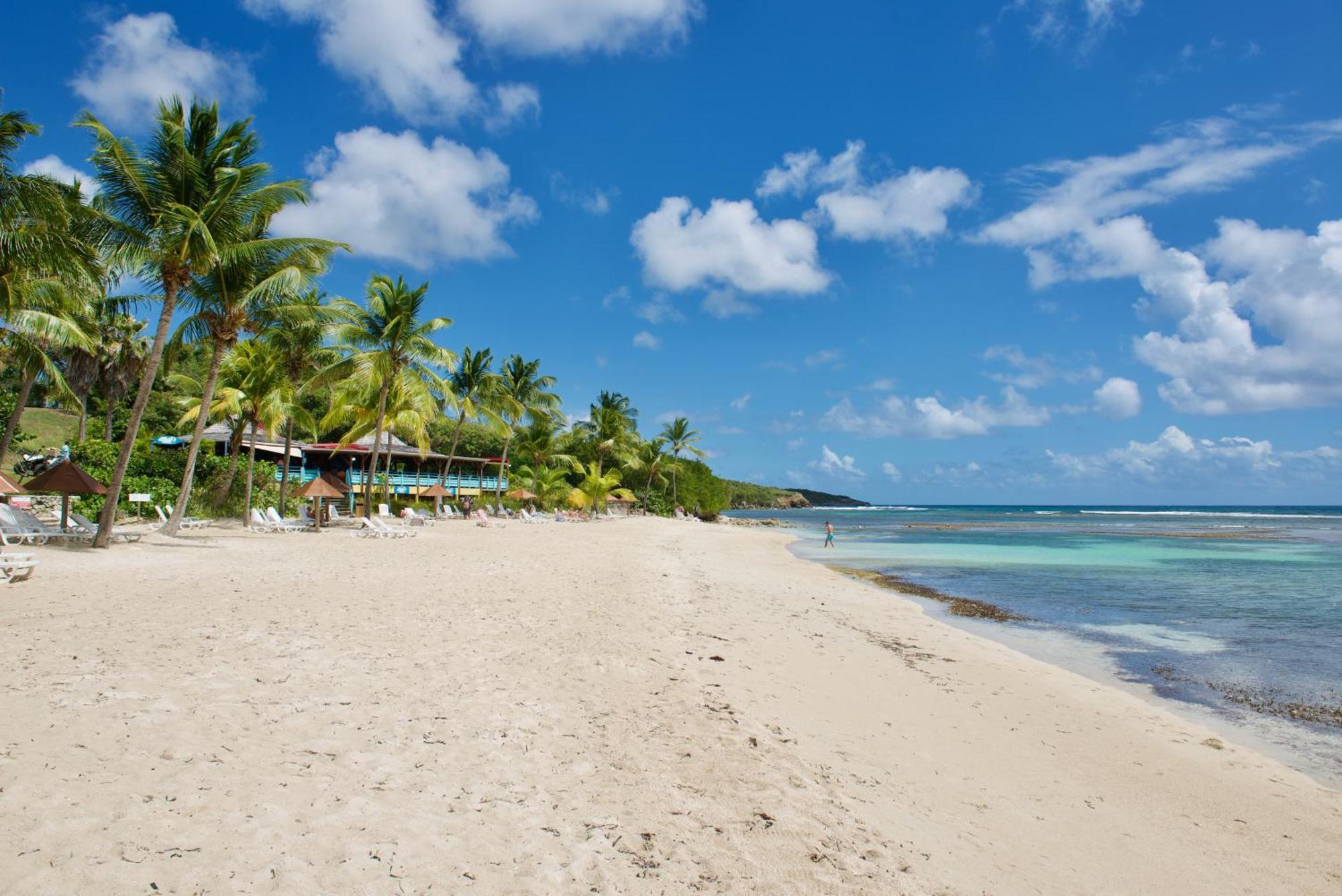 Studio Bruni Lodge Sainte-Anne (Grande-Terre) Exterior foto